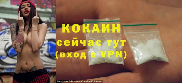 ПСИЛОЦИБИНОВЫЕ ГРИБЫ Абаза