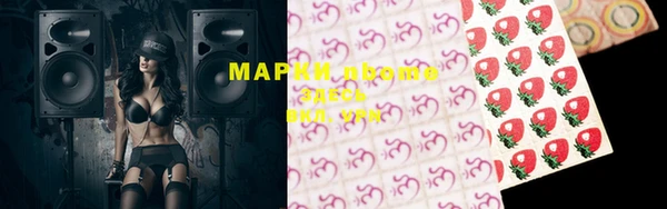 ПСИЛОЦИБИНОВЫЕ ГРИБЫ Абаза