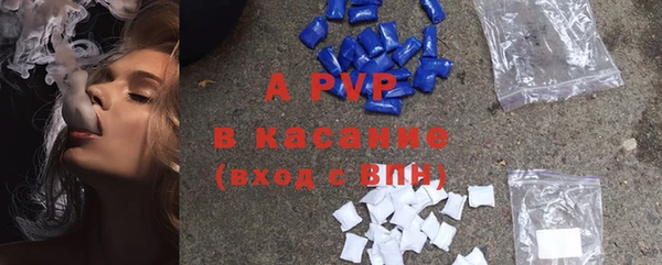 ПСИЛОЦИБИНОВЫЕ ГРИБЫ Абаза