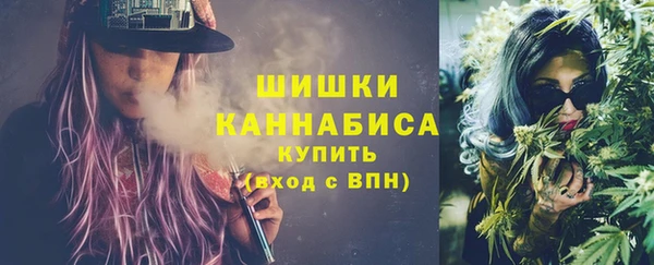 ПСИЛОЦИБИНОВЫЕ ГРИБЫ Абаза